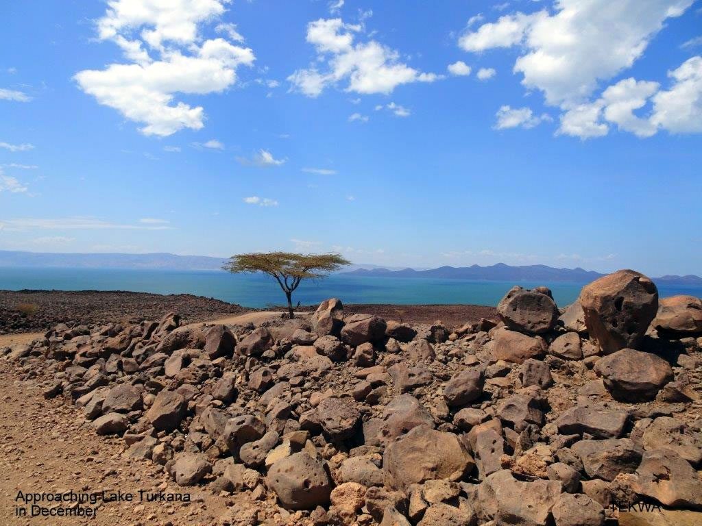 TEKWA-Turkana-004