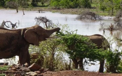 A CULTURAL ADVENTURE THROUGH THE KENYAN RIFT SYSTEM